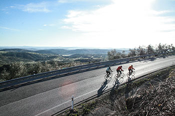 bikecation cycling holidays