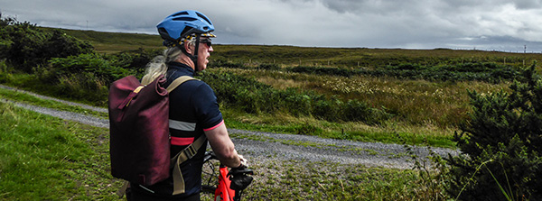 brooks pickwick cotton backpack