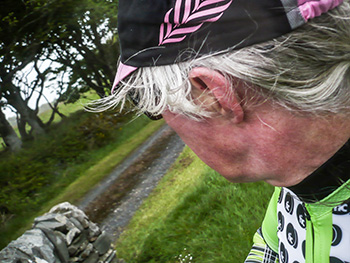 this is cambridge panache