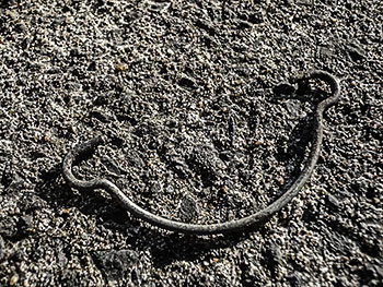 campagnolo power torque