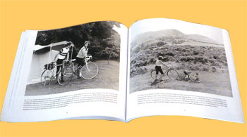 a bit of an all rounder