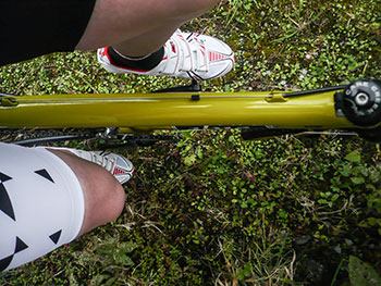 dmt champion 2.0 offroad shoes