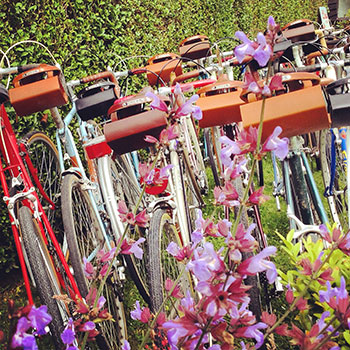glory days vintage bike hire