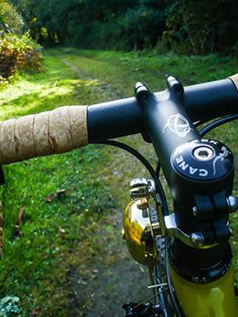 alexander graham bell