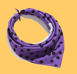 rapha/paul smith silk scarf