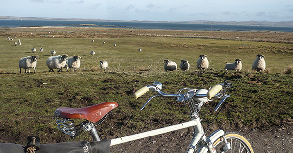 rapha wool wind jacket