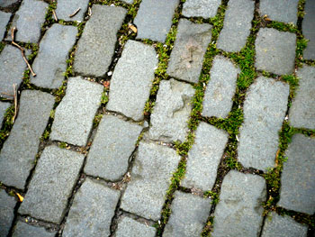 cobbles en route to ronde