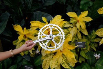 tenspeedhero crankset with flora