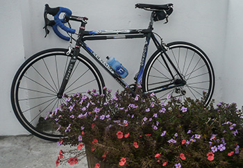 wheelsmith race 24 wheels