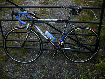 wheelsmith race 24 wheels