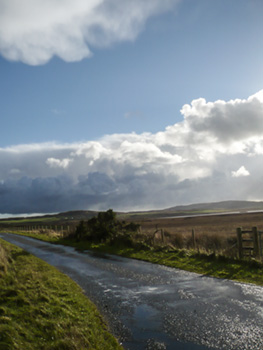 whisky island sustainability project