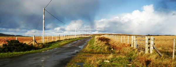 whisky island sustainability project